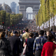 Illustration for article titled This Is What Paris Looks Like Without Cars